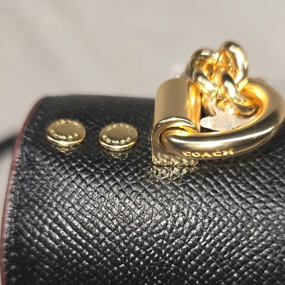 Coach Klare Strawberry Crossbody Bag with Gold Details - Picture 11 of 14